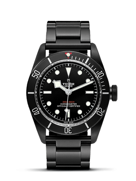 2025 Tudor Black Bay 79230DK