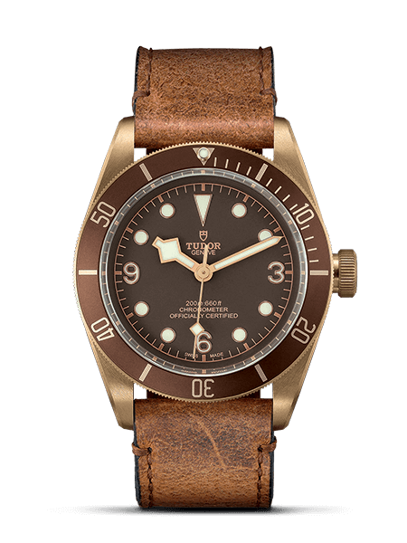 2025 Tudor Black Bay 79250BM