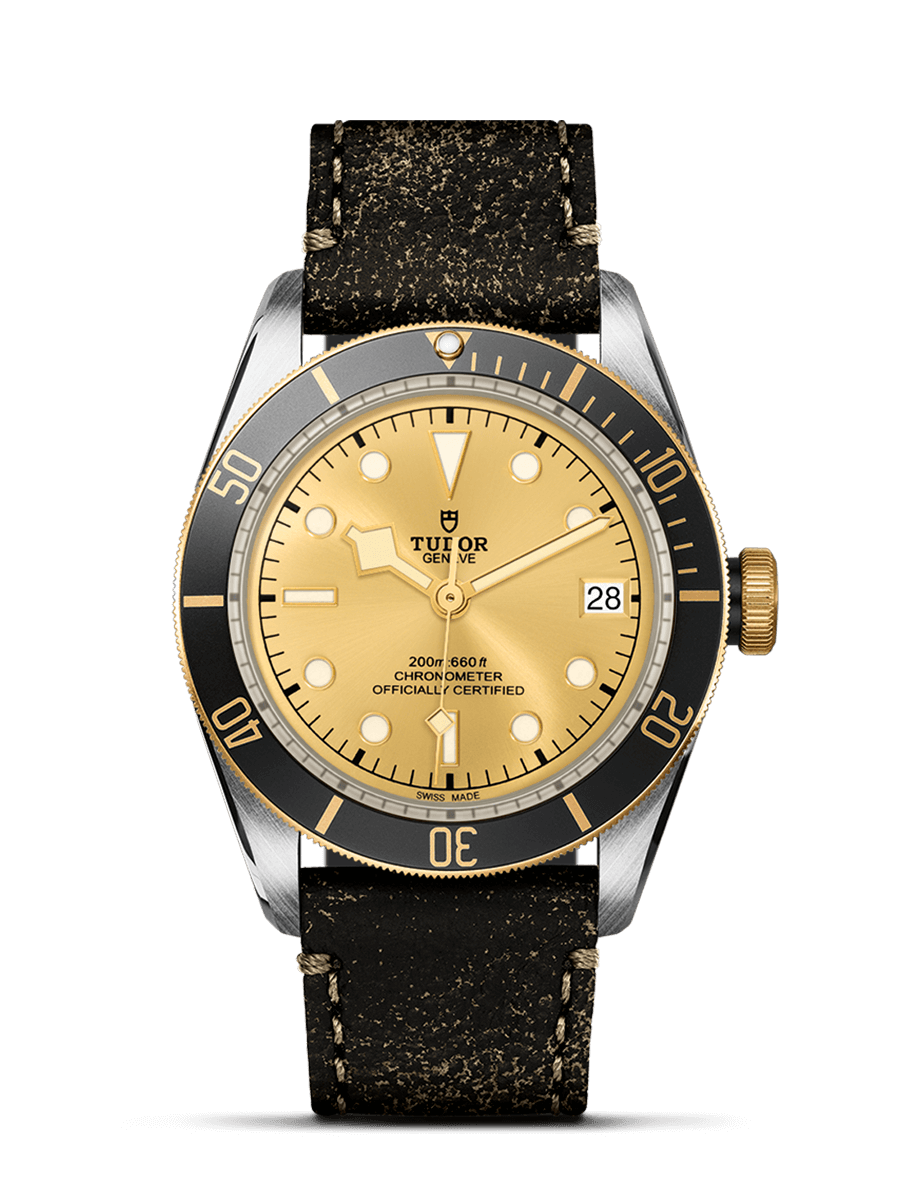 2026 Tudor Black Bay S&G 79733N
